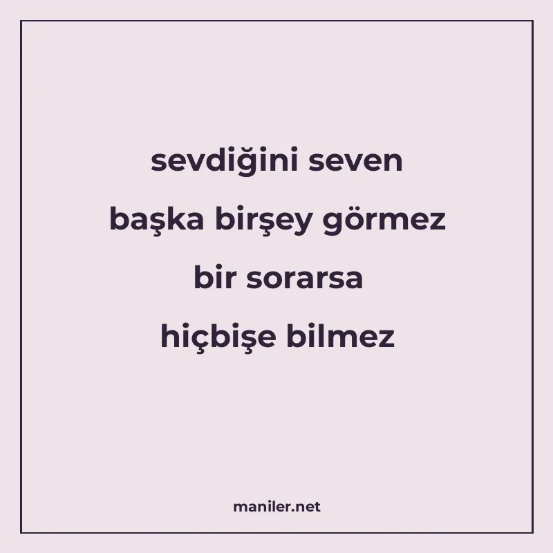 sevdiğini seven başka birşey görmez bir sorarsa hiçbişe bilm manisi görseli
