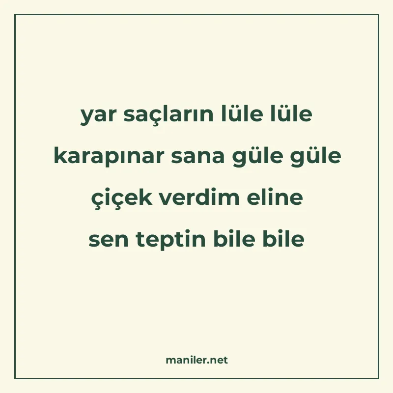 yar saçların lüle lüle karapınar sana güle güle çiçek verdim manisi görseli