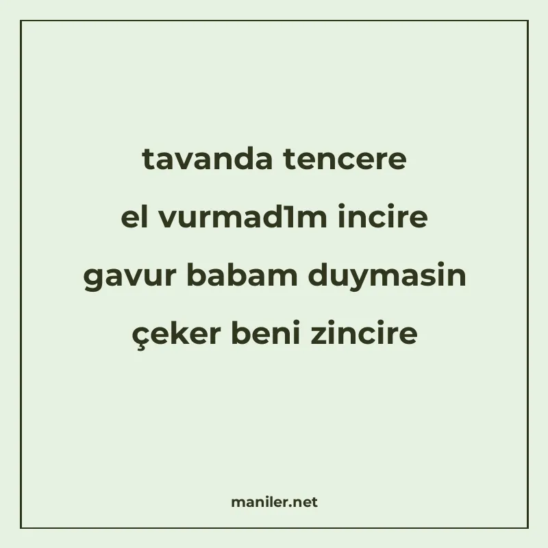 tavanda tencere el vurmad1m incire gavur babam duymasin çeke manisi görseli