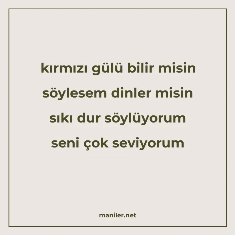 kırmızı gülü bilir misin söylesem dinler misin sıkı dur söyl manisi görseli