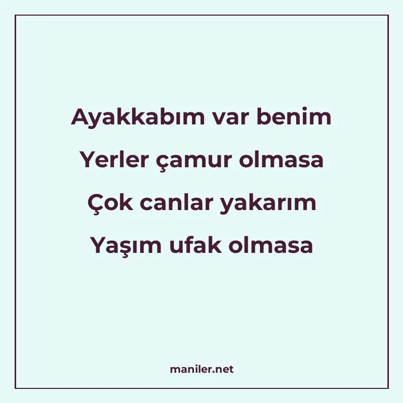 Ayakkabım var benim Yerler çamur olmasa Çok canlar yakarım Y manisi görseli