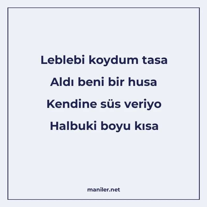 Leblebi koydum tasa Aldı beni bir husa Kendine süs veriyo Ha manisi görseli