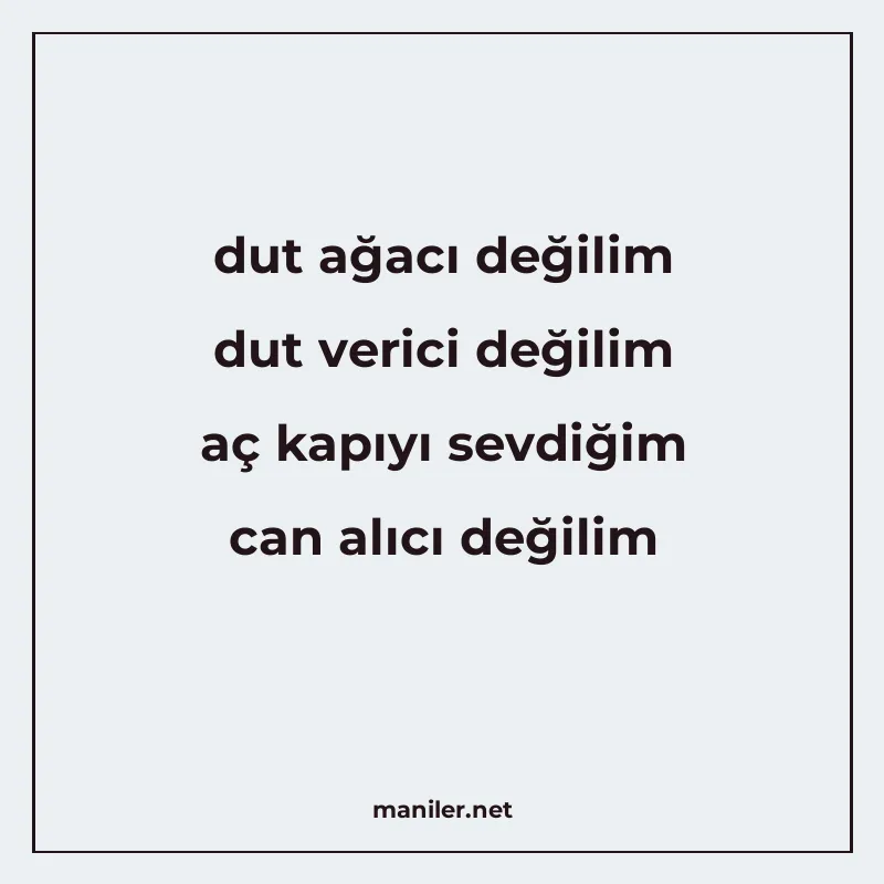 dut ağacı değilim dut verici değilim aç kapıyı sevdiğim can manisi görseli