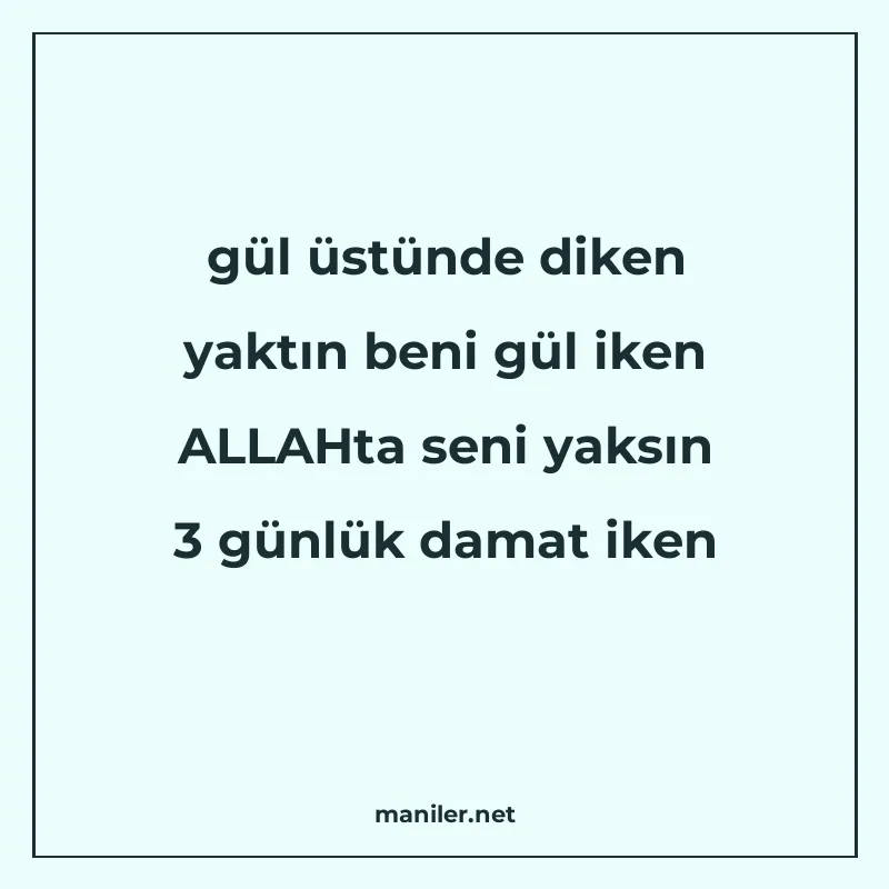 gül üstünde diken yaktın beni gül iken ALLAHta seni yaksın 3 manisi görseli