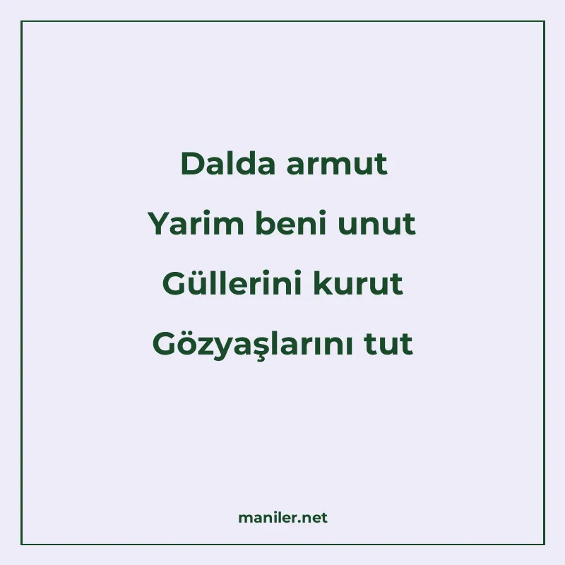 Dalda armut Yarim beni unut Güllerini kurut Gözyaşlarını tut manisi görseli