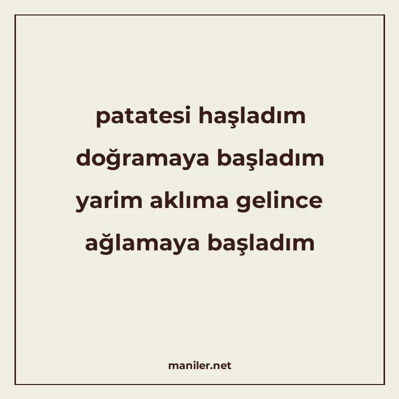 patatesi haşladım doğramaya başladım yarim aklıma gelince ağ manisi görseli