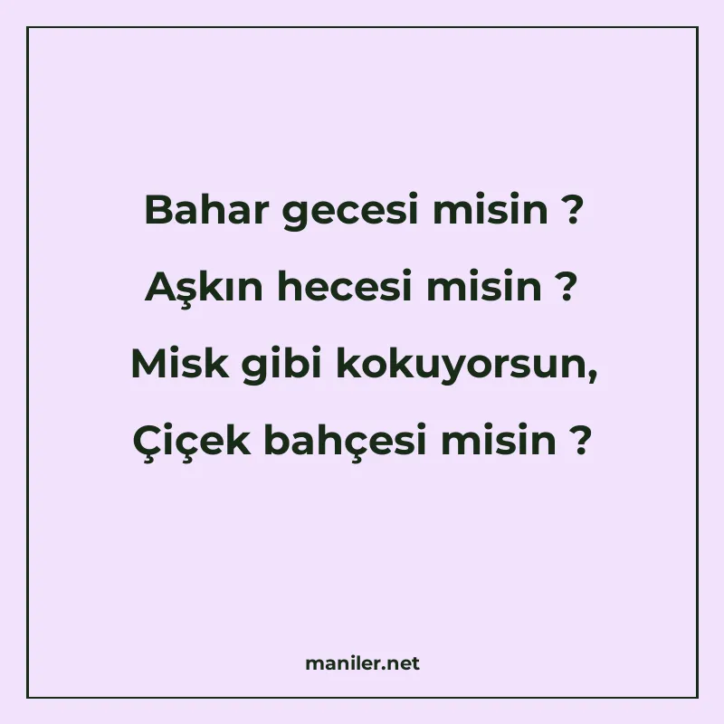 Bahar gecesi misin ? Aşkın hecesi misin ? Misk gibi kokuyors manisi görseli
