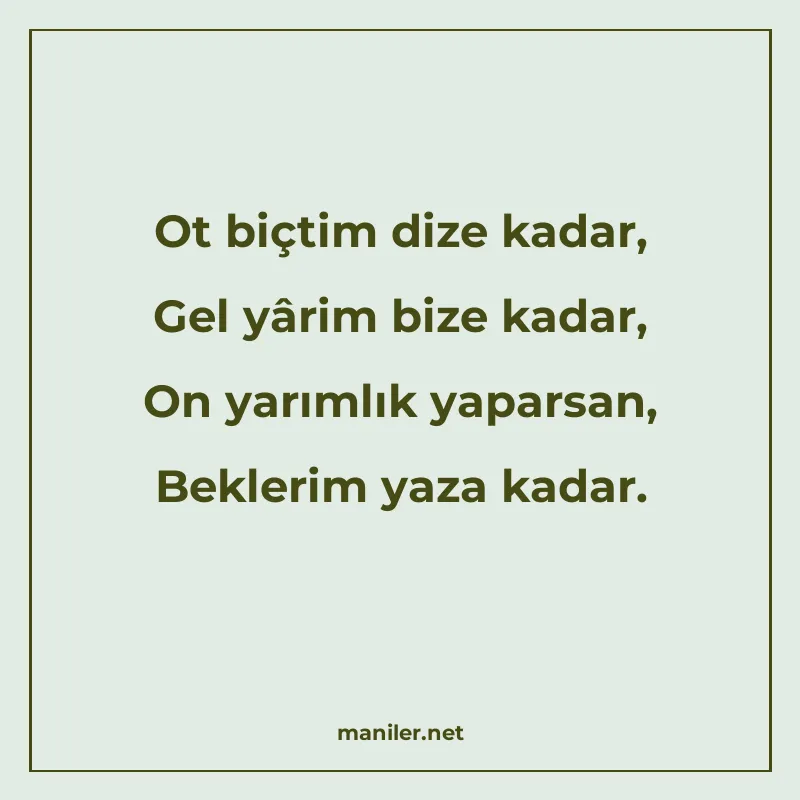 Ot biçtim dize kadar, Gel yârim bize kadar, On yarımlık yapa manisi görseli