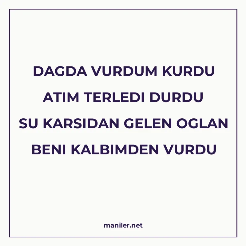 DAGDA VURDUM KURDU ATIM TERLEDI DURDU SU KARSIDAN GELEN OGLA manisi görseli