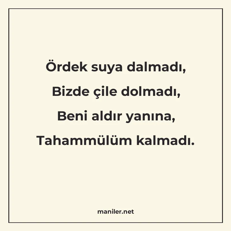 Ördek suya dalmadı, Bizde çile dolmadı, Beni aldır yanına, T manisi görseli