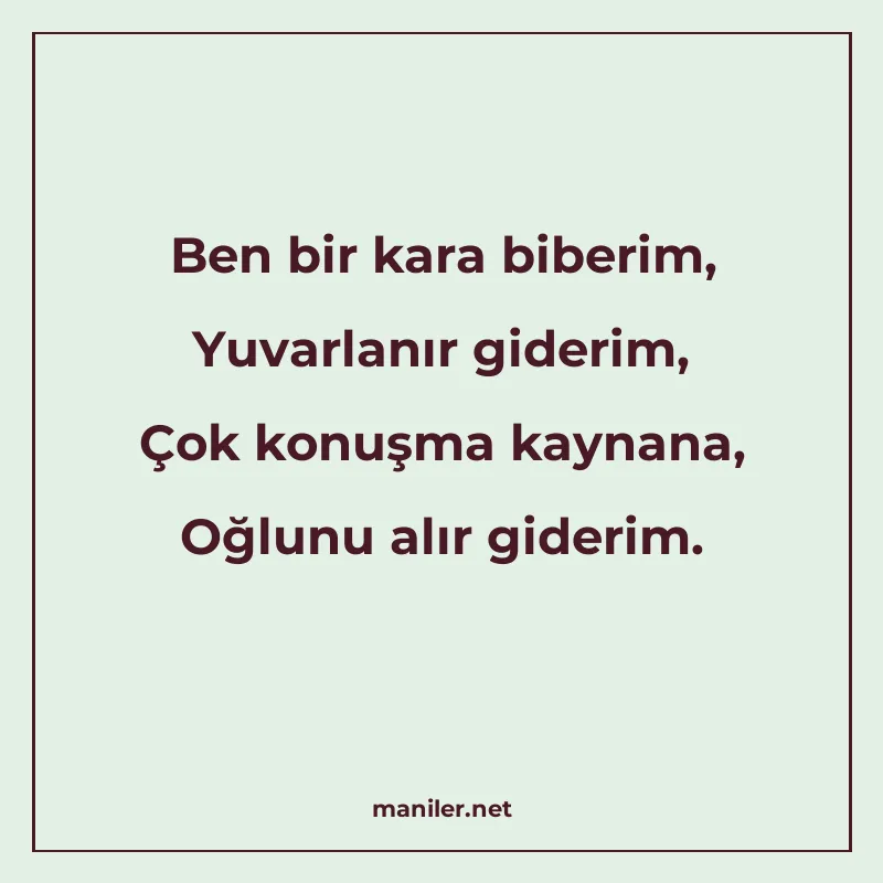 Ben bir kara biberim, Yuvarlanır giderim, Çok konuşma kaynan manisi görseli