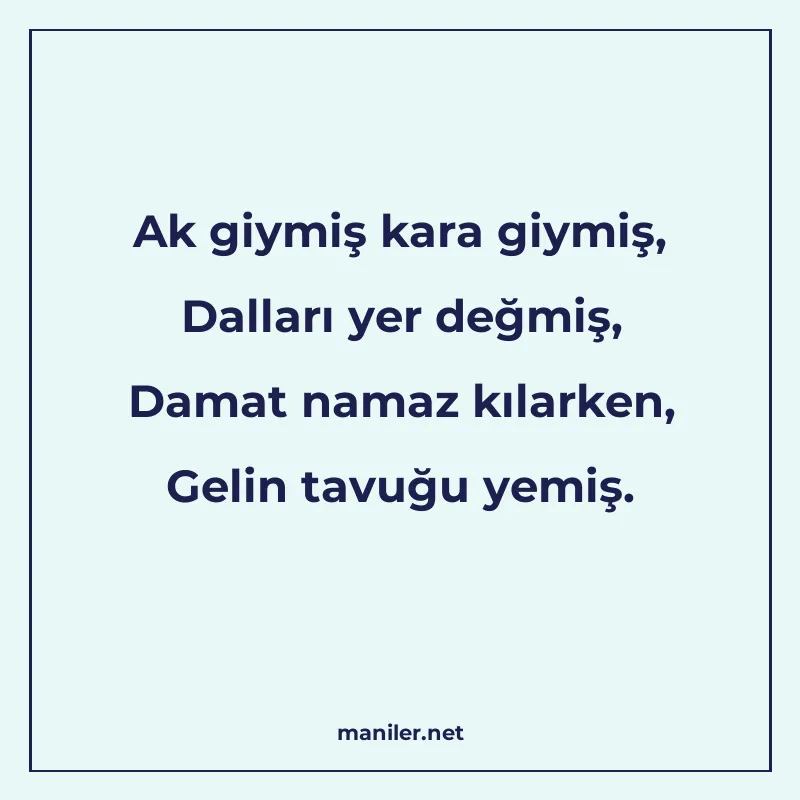 Ak giymiş kara giymiş, Dalları yer değmiş, Damat namaz kılar manisi görseli