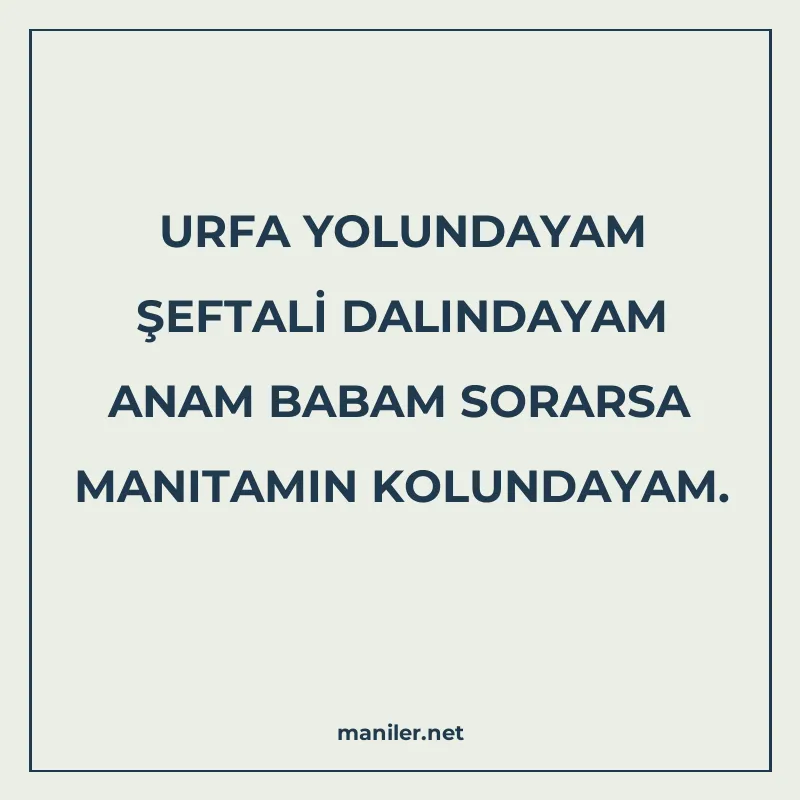 URFA YOLUNDAYAM ŞEFTALİ DALINDAYAM ANAM BABAM SORARSA MANITA manisi görseli