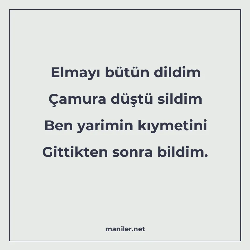 Elmayı bütün dildim Çamura düştü sildim Ben yarimin kıymetin manisi görseli