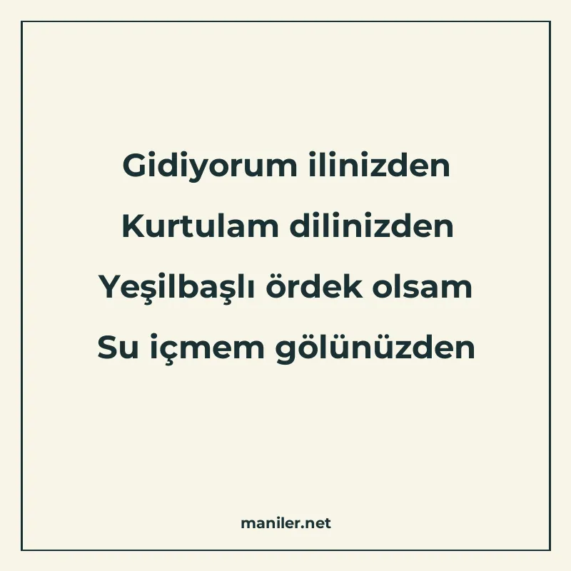 Gidiyorum ilinizden Kurtulam dilinizden Yeşilbaşlı ördek ols manisi görseli