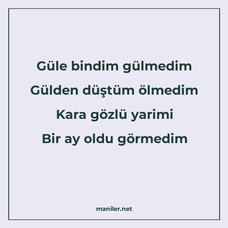 Güle bindim gülmedim Gülden düştüm ölmedim Kara gözlü yarimi manisi görseli