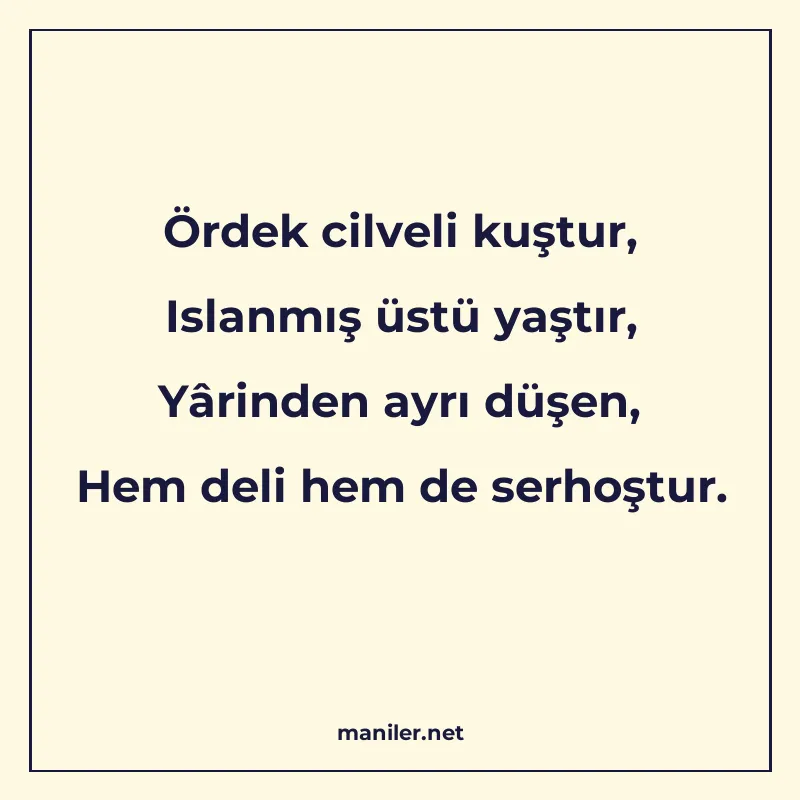 Ördek cilveli kuştur, Islanmış üstü yaştır, Yârinden ayrı dü manisi görseli