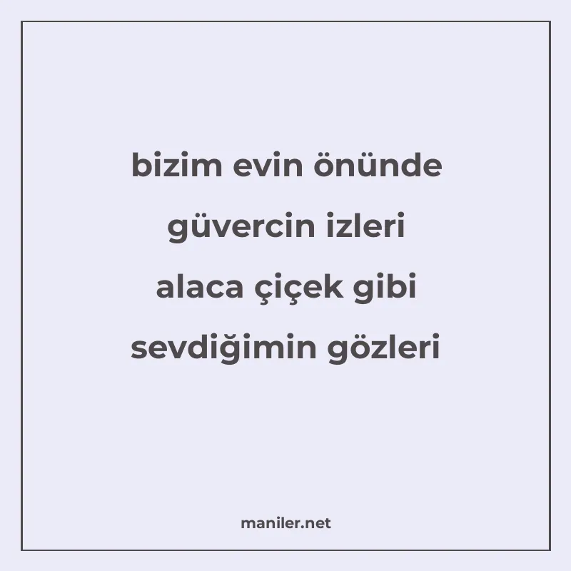 bizim evin önünde güvercin izleri alaca çiçek gibi sevdiğimi manisi görseli