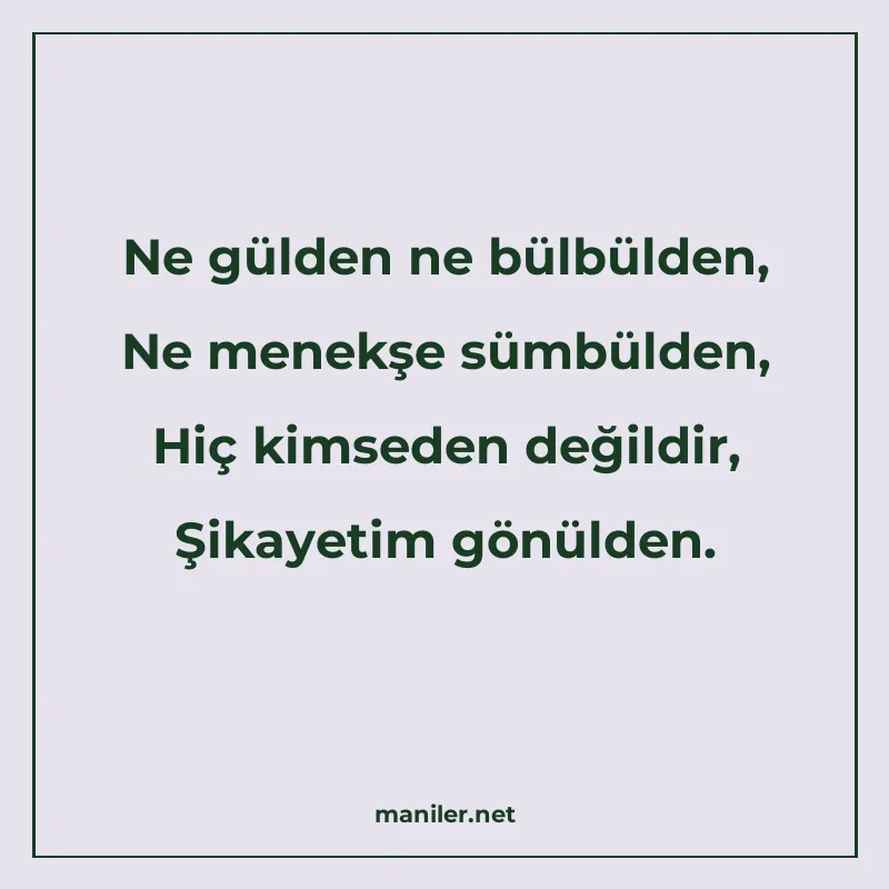 Ne gülden ne bülbülden, Ne menekşe sümbülden, Hiç kimseden d manisi görseli