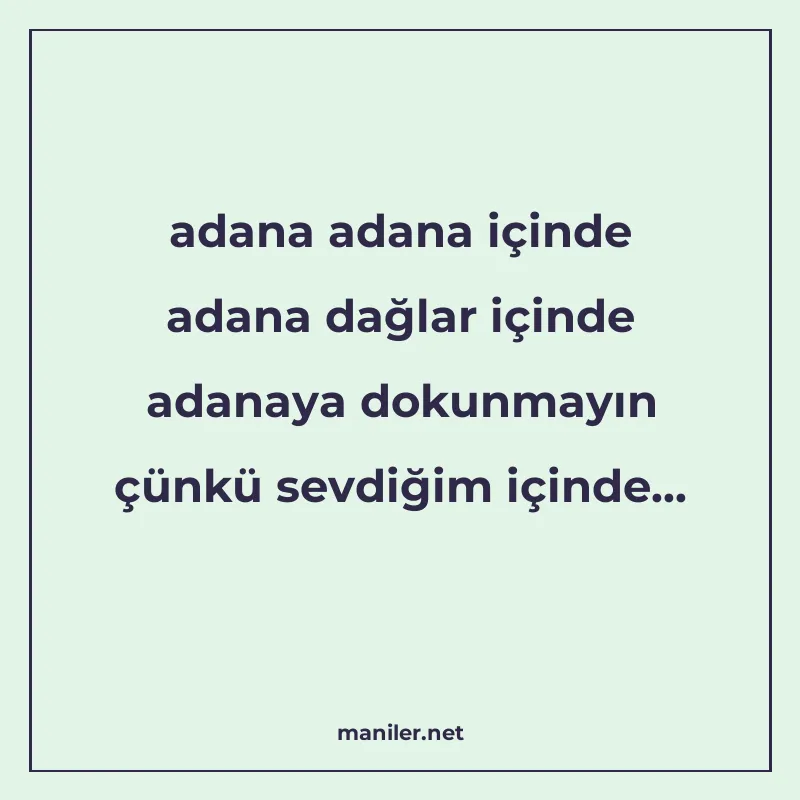adana adana içinde adana dağlar içinde adanaya dokunmayın çü manisi görseli
