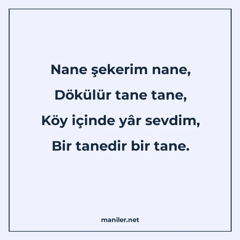 Nane şekerim nane, Dökülür tane tane, Köy içinde yâr sevdim manisi görseli