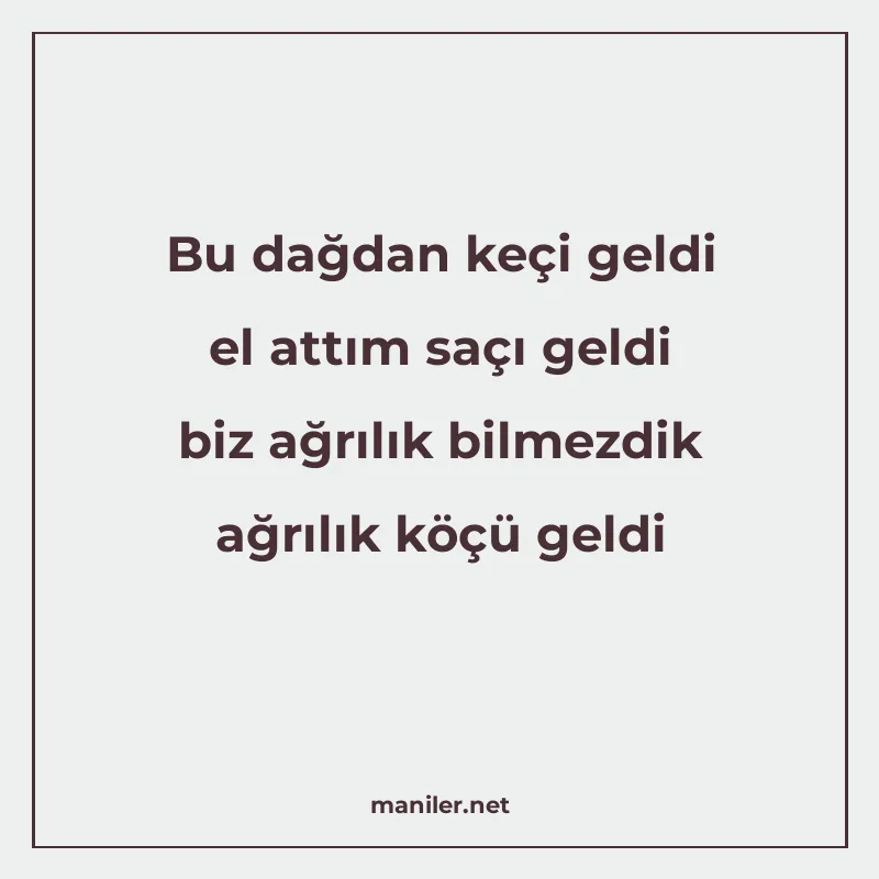 Bu dağdan keçi geldi el attım saçı geldi biz ağrılık bilmezd manisi görseli