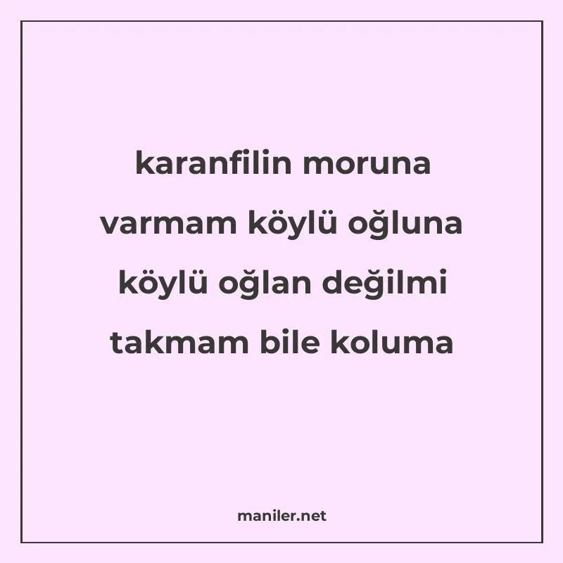 karanfilin moruna varmam köylü oğluna köylü oğlan değilmi ta manisi görseli