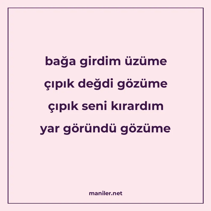 bağa girdim üzüme çıpık değdi gözüme çıpık seni kırardım yar manisi görseli