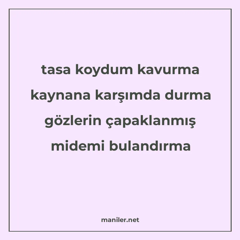 tasa koydum kavurma kaynana karşımda durma gözlerin çapaklan manisi görseli