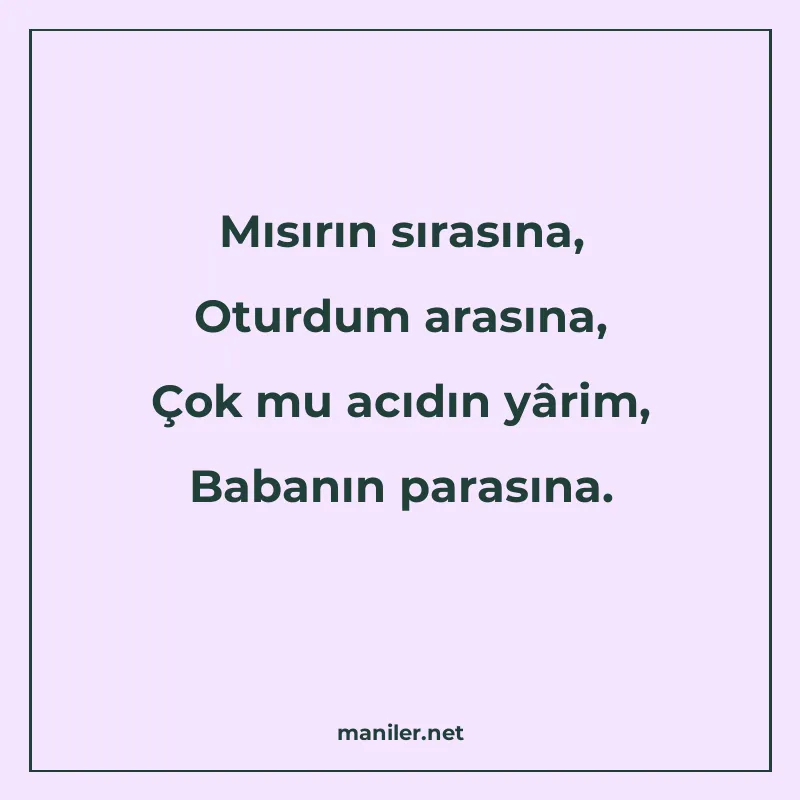 Mısırın sırasına, Oturdum arasına, Çok mu acıdın yârim, Baba manisi görseli