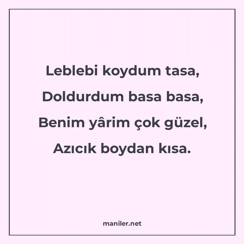 Leblebi koydum tasa, Doldurdum basa basa, Benim yârim çok gü manisi görseli