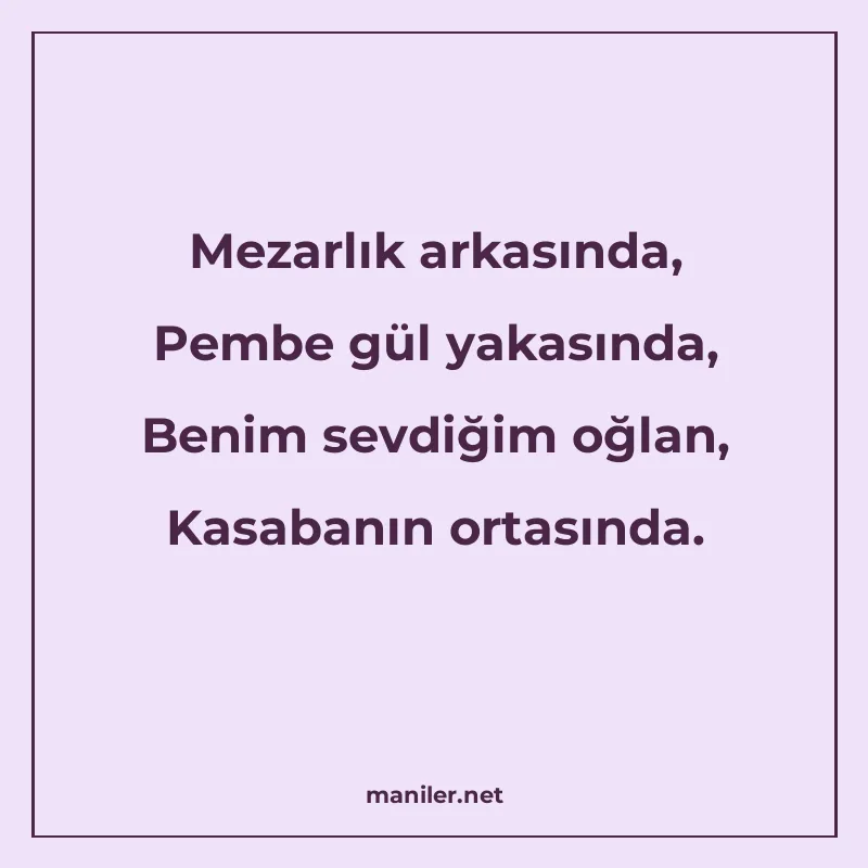Mezarlık arkasında, Pembe gül yakasında, Benim sevdiğim oğla manisi görseli