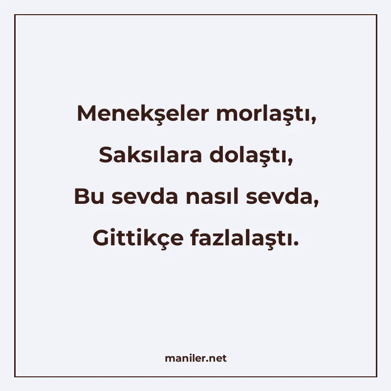 Menekşeler morlaştı, Saksılara dolaştı, Bu sevda nasıl sevda manisi görseli