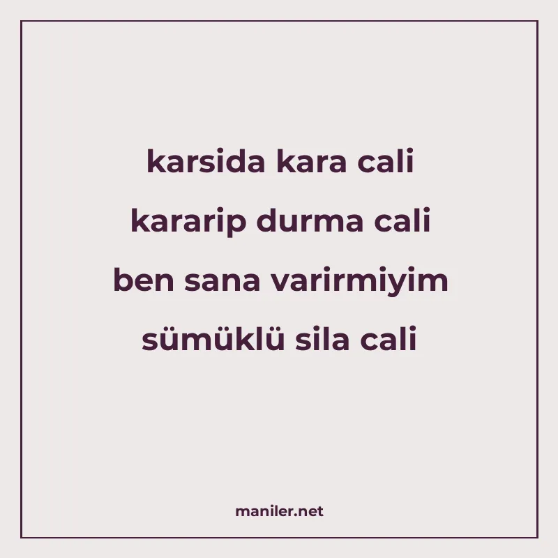 karsida kara cali kararip durma cali ben sana varirmiyim süm manisi görseli