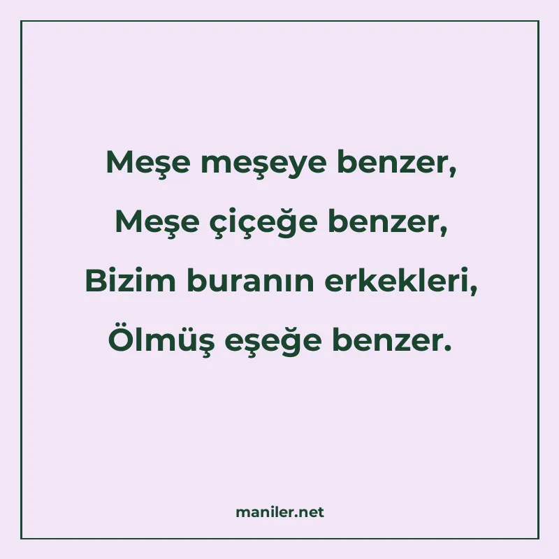 Meşe meşeye benzer, Meşe çiçeğe benzer, Bizim buranın erkekl manisi görseli