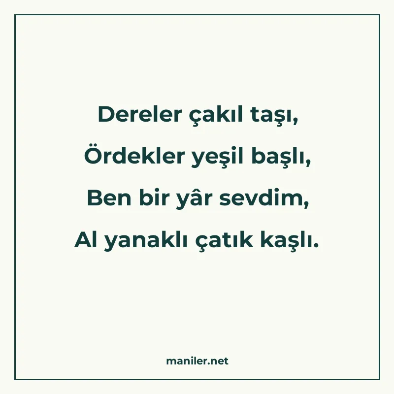 Dereler çakıl taşı, Ördekler yeşil başlı, Ben bir yâr sevdim manisi görseli