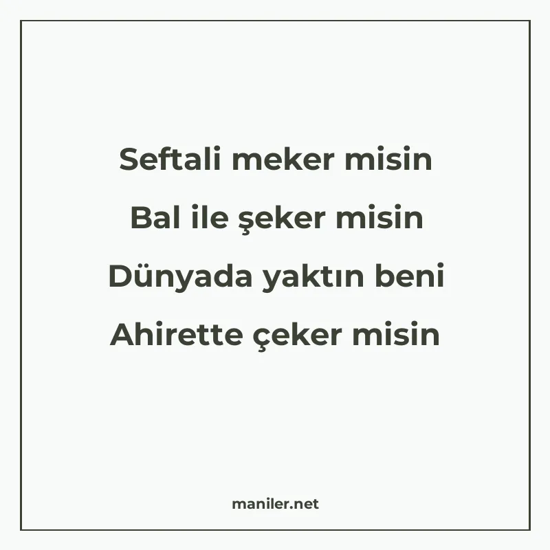 Seftali meker misin Bal ile şeker misin Dünyada yaktın beni manisi görseli
