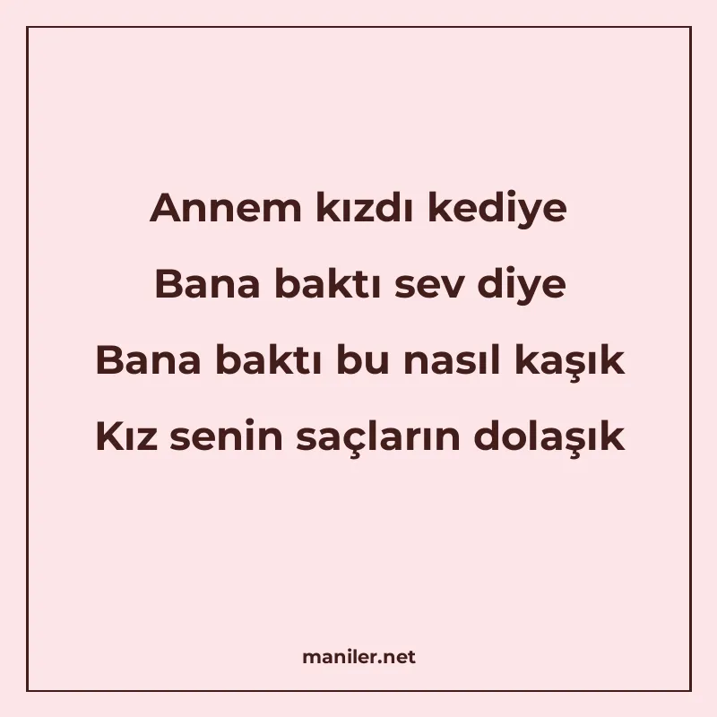 Annem kızdı kediye Bana baktı sev diye Bana baktı bu nasıl k manisi görseli