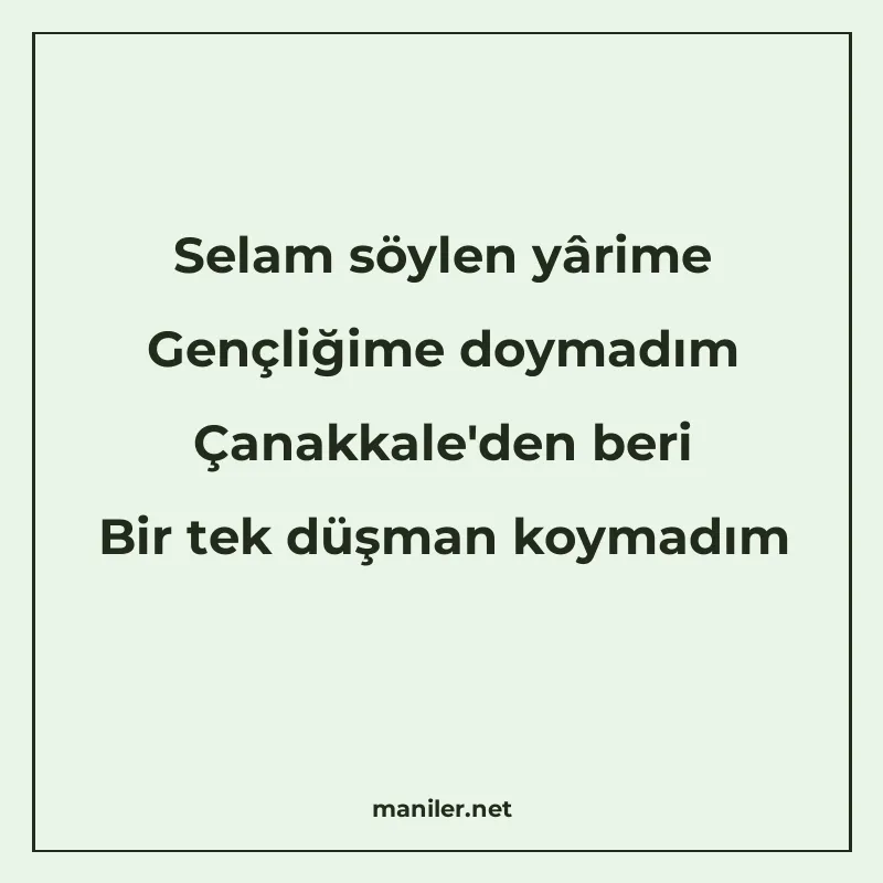 Selam söylen yârime Gençliğime doymadım Çanakkale'den b manisi görseli