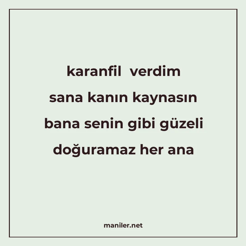 karanfil verdim sana kanın kaynasın bana senin gibi güzeli d manisi görseli