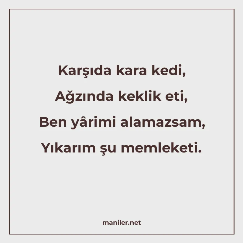 Karşıda kara kedi, Ağzında keklik eti, Ben yârimi alamazsam manisi görseli