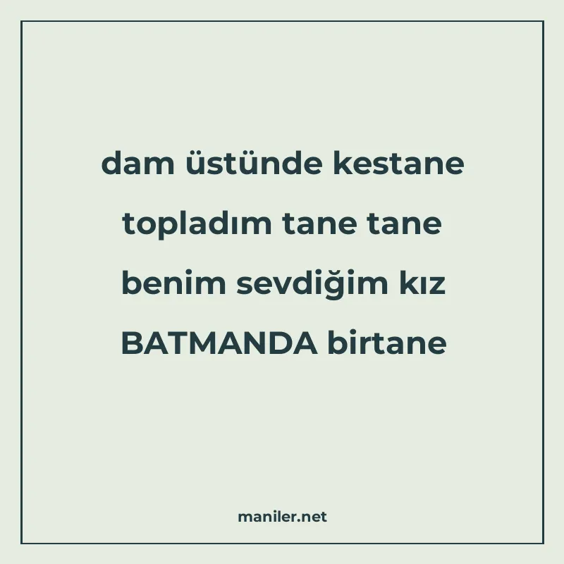 dam üstünde kestane topladım tane tane benim sevdiğim kız BA manisi görseli