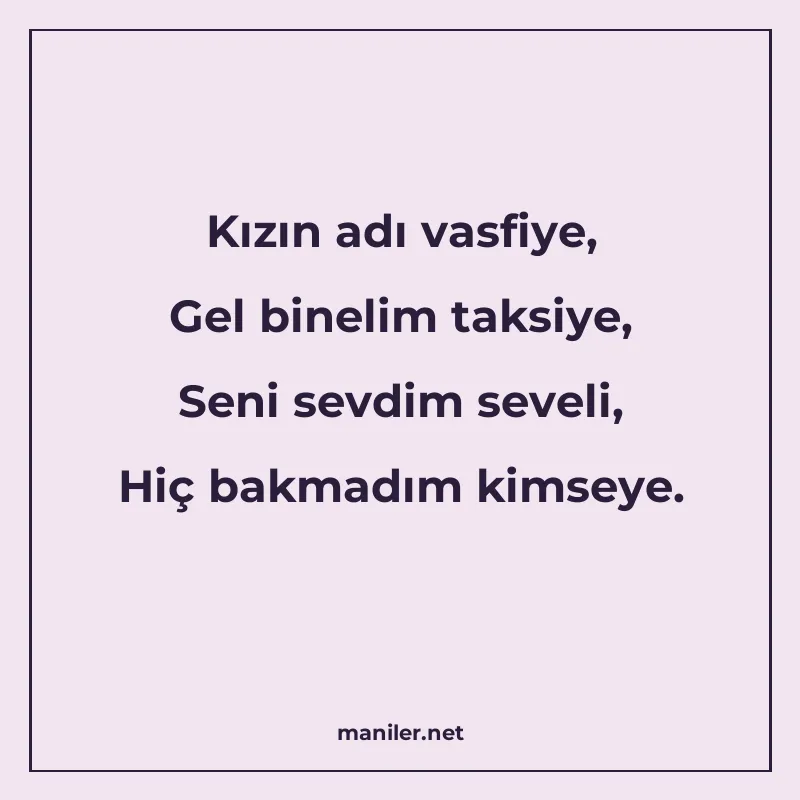 Kızın adı vasfiye, Gel binelim taksiye, Seni sevdim seveli manisi görseli