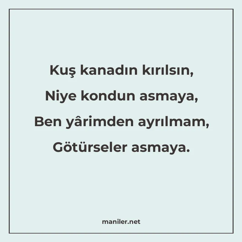 Kuş kanadın kırılsın, Niye kondun asmaya, Ben yârimden ayrıl manisi görseli