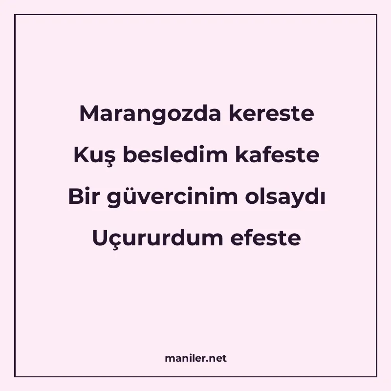 Marangozda kereste Kuş besledim kafeste Bir güvercinim olsay manisi görseli