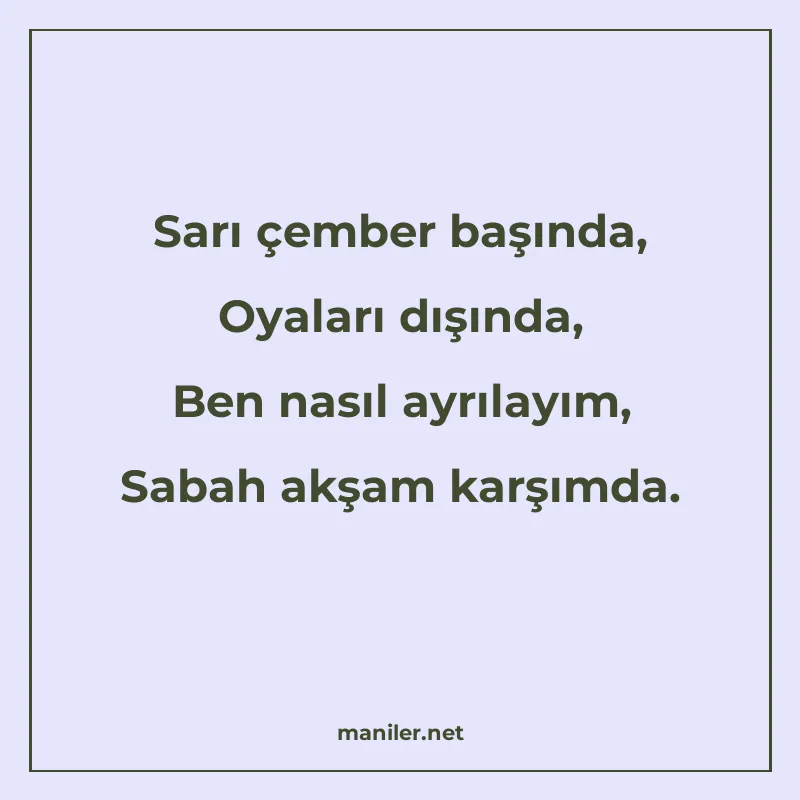 Sarı çember başında, Oyaları dışında, Ben nasıl ayrılayım, S manisi görseli
