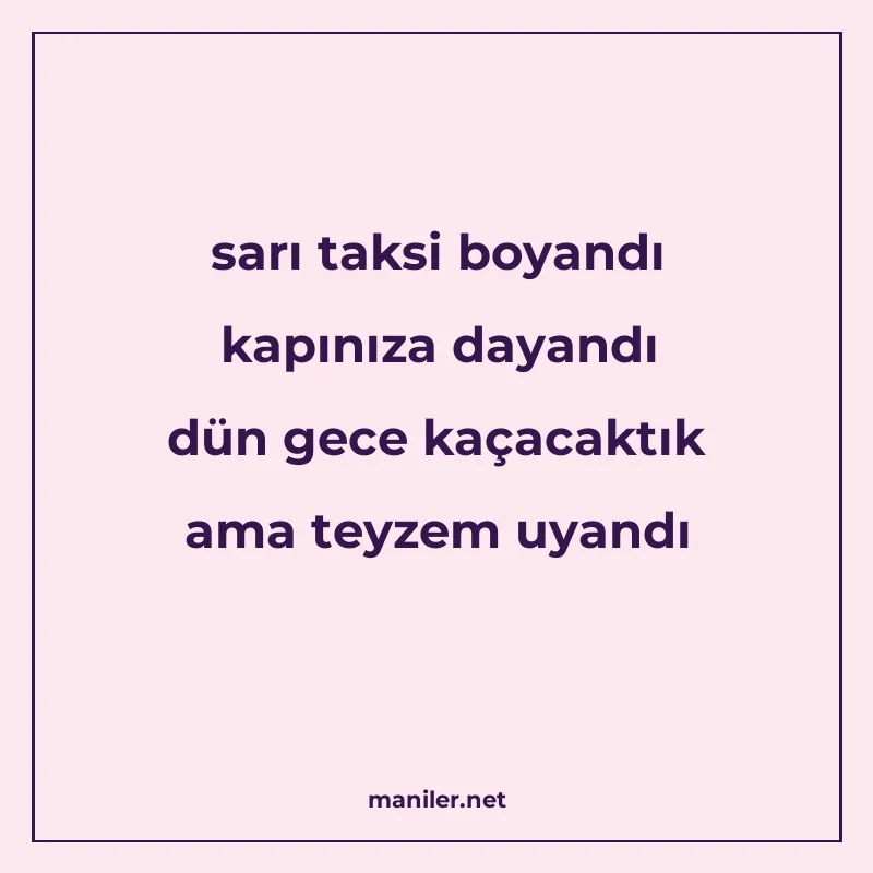 sarı taksi boyandı kapınıza dayandı dün gece kaçacaktık ama manisi görseli
