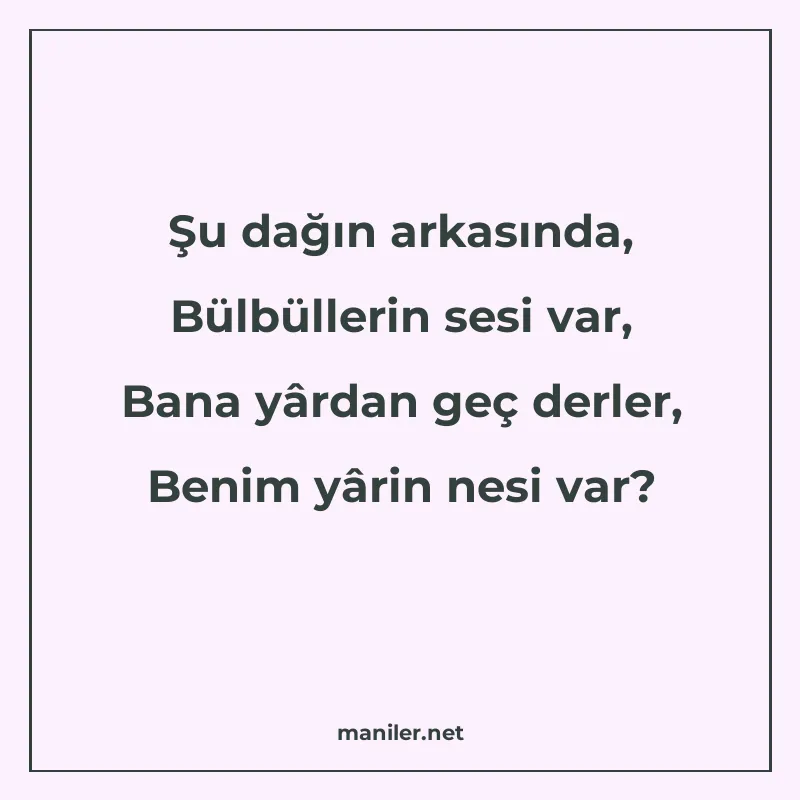 Şu dağın arkasında, Bülbüllerin sesi var, Bana yârdan geç de manisi görseli
