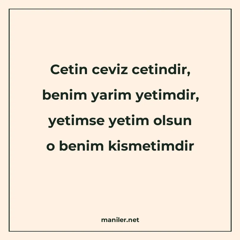 Cetin ceviz cetindir, benim yarim yetimdir, yetimse yetim ol manisi görseli