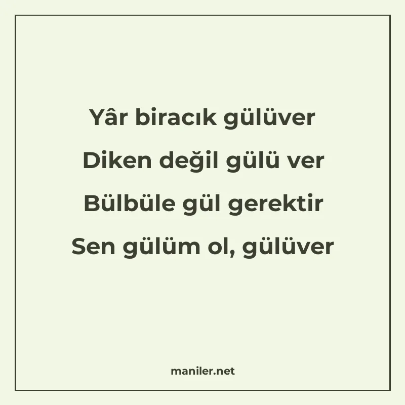 Yâr biracık gülüver Diken değil gülü ver Bülbüle gül gerekti manisi görseli